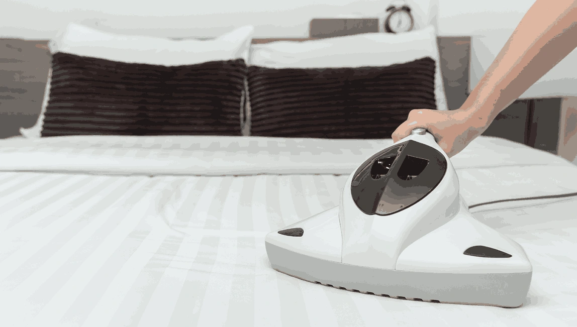 Professional Mattress Cleaning Bellfield